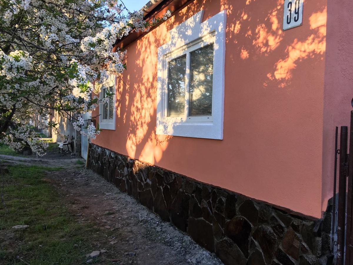 Sadyba U Mykhaila Косонь Экстерьер фото